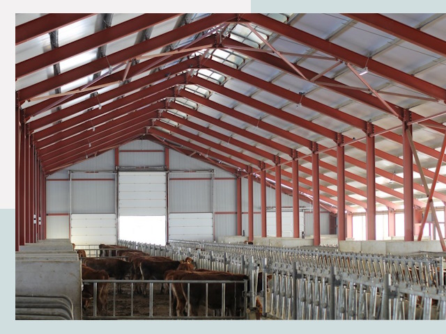 Строительство коровников в Лесосибирске