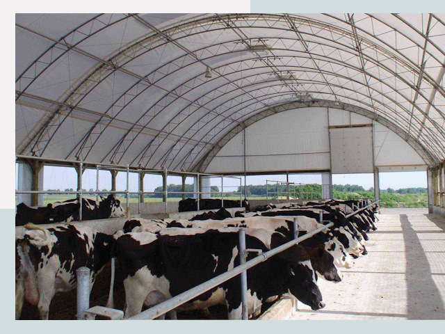 Тентовые коровники в Лесосибирске